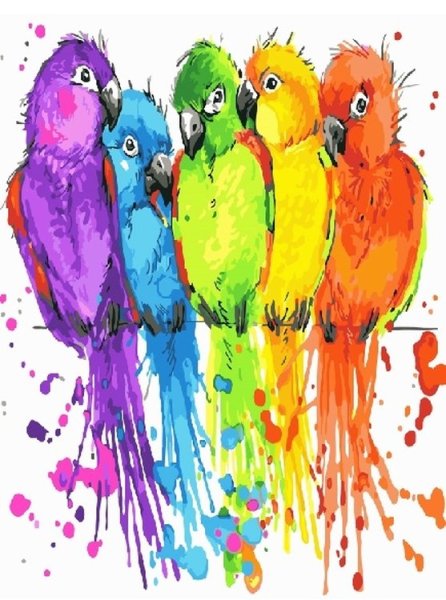 Радужные попугаи