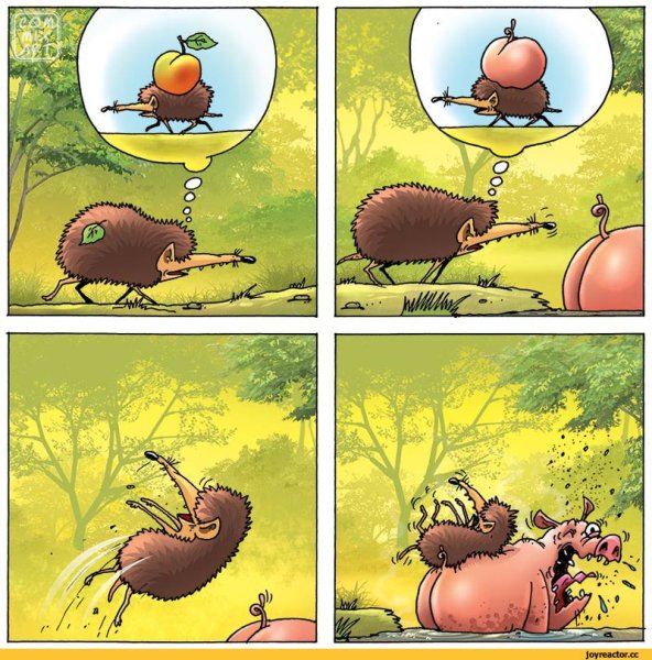 Карикатуры с ежом