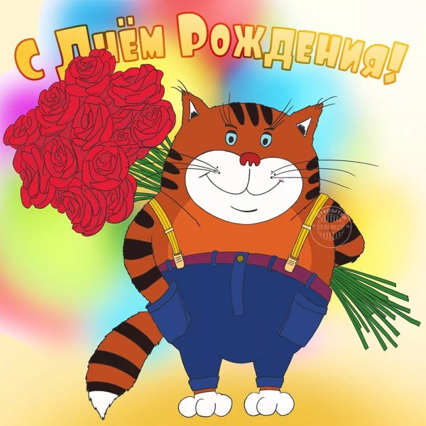 С днем рождения кот