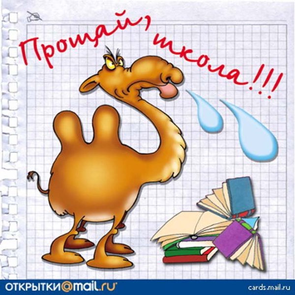 Поздравления с днём рождения