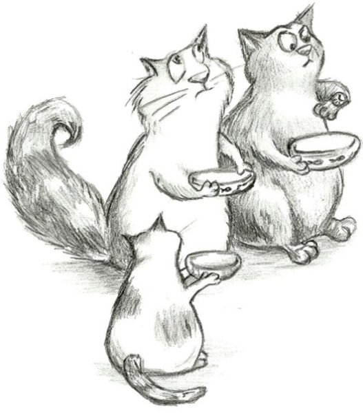 Рисунки для срисовки кошки милые