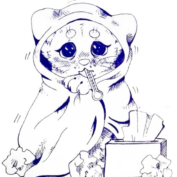 Иллюстратор Мельникович Людмила