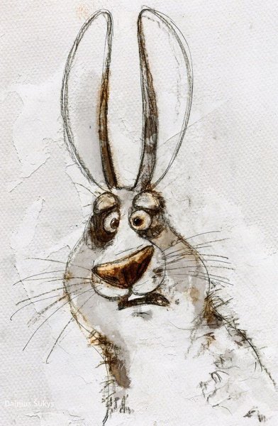 Дайнюс Шукис