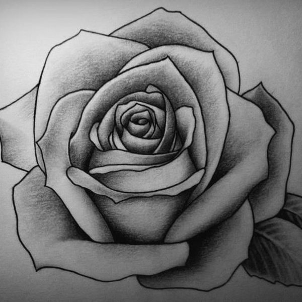 Бутон розы эскиз