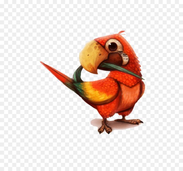 Смешные мультяшные попугаи