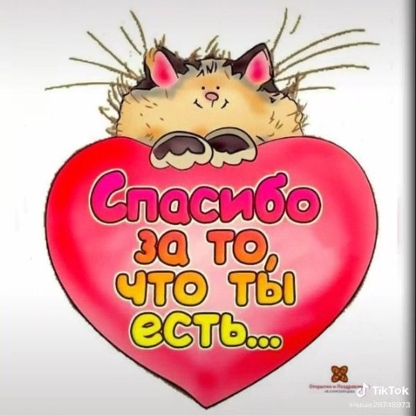 Открытки для поднятия настроения девушке