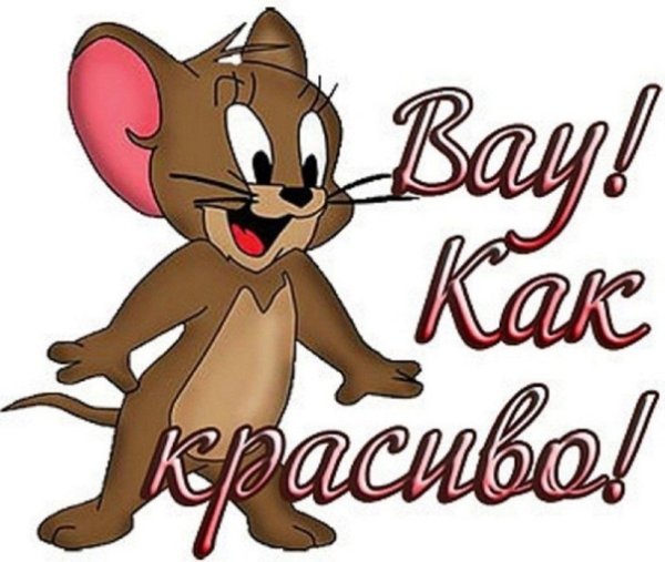 Пожелания хорошего дня прикольные