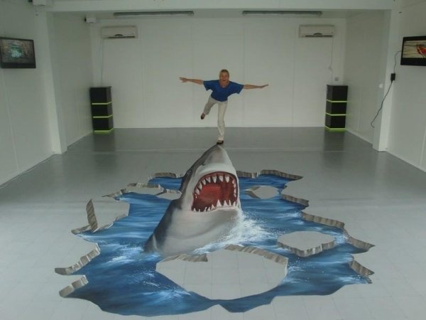 Наливной пол акула