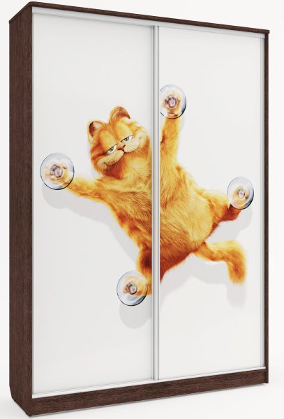 Шкафы с фотопечатью на стекле