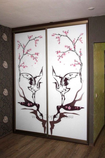 Шкаф купе с рисунком