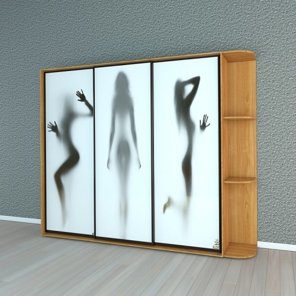 Оригинальные двери для шкафа купе