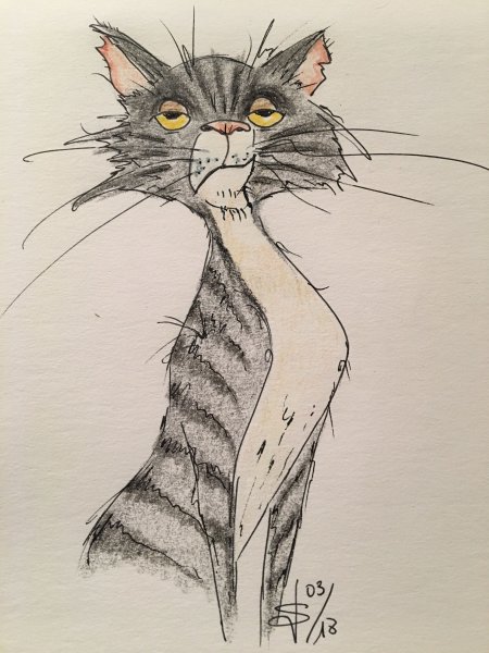 Рисунки карандашом котов смешные