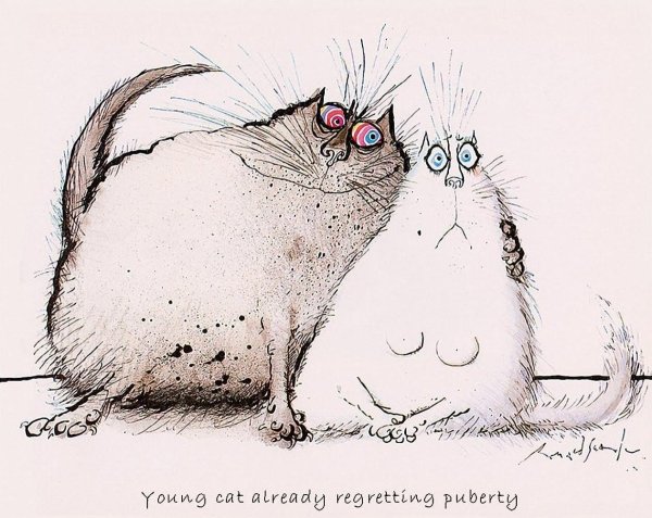 Рональд Сирл коты