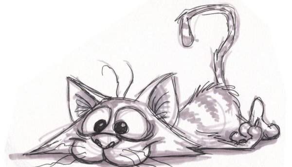 Рисунки карандашом прикольные