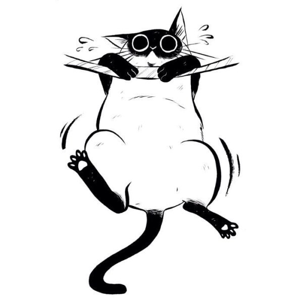 Набросок смешной кот