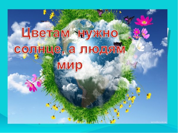 Урок окружающий мир