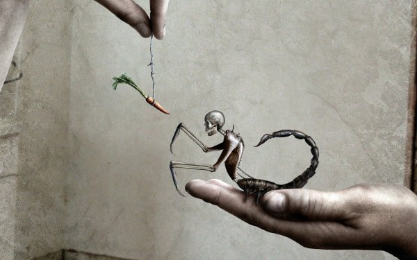 Арты со смыслом