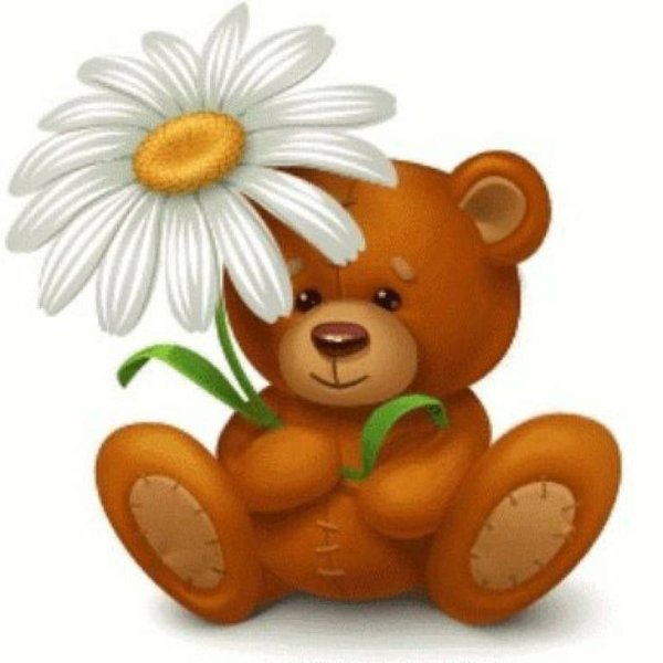 Мишка с ромашками