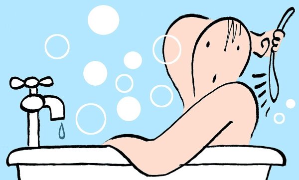 Береги своего внутреннего кота