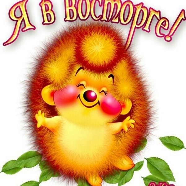 Супер открытки