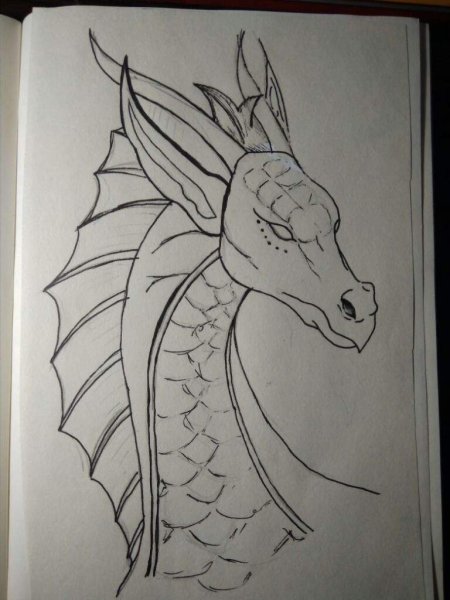 Рисования скетчбук драконы