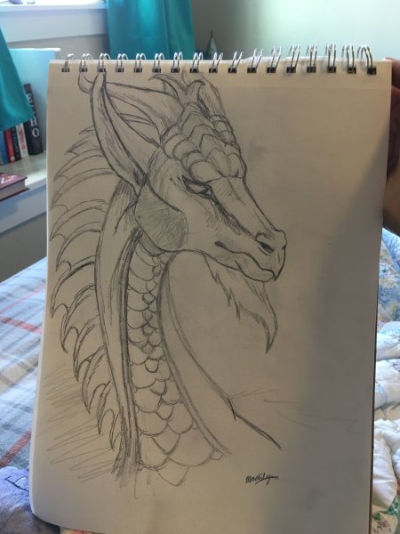 Рисования скетчбук драконы