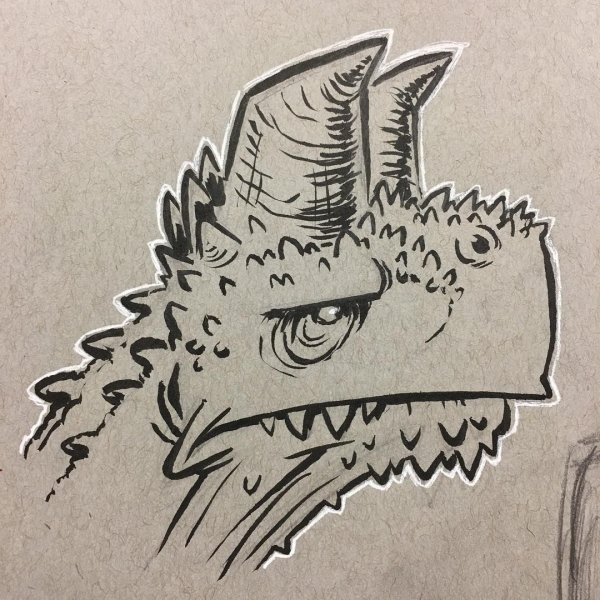 Скетчбук рисунки для начинающих