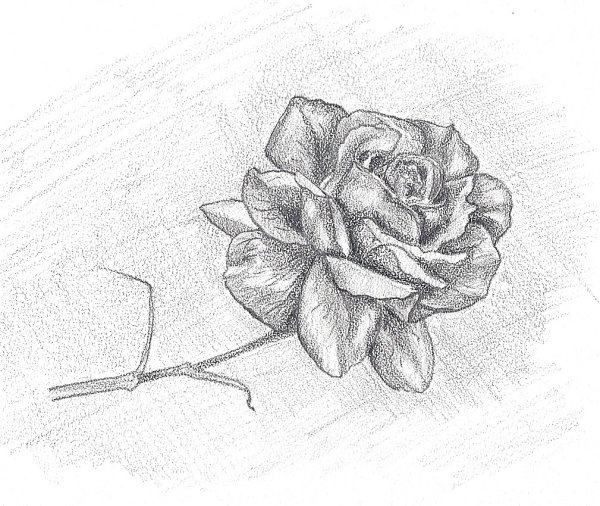 3д рисунки карандашом