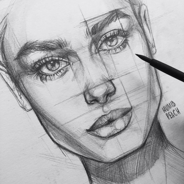 Рисование портрета карандашом