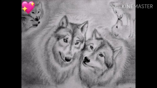 Девушка карандашом