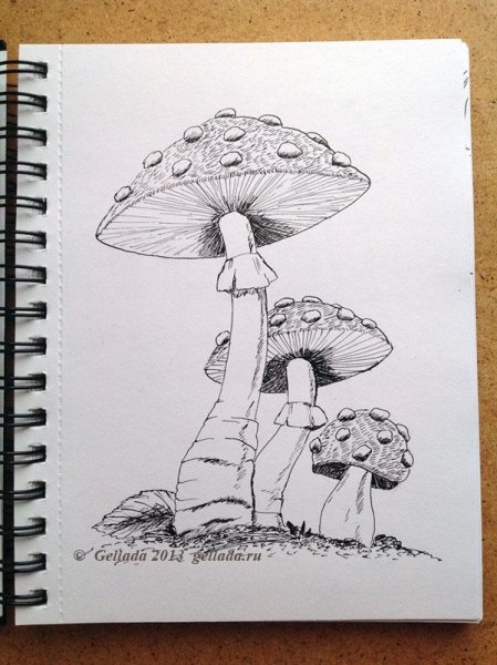 Скетчбук рисунки для начинающих