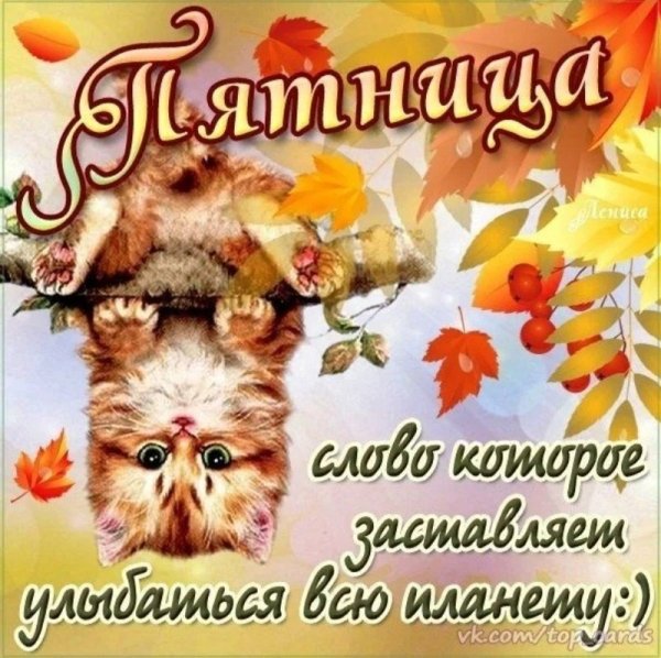 Доброе утро пятница осень