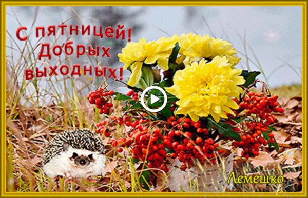 Доброй осенней пятницы и хороших выходных