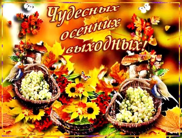 Открытка с осенними выходными