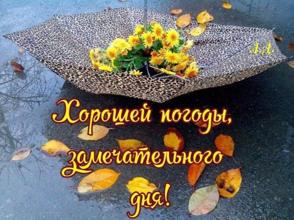 Доброе осеннее утро субботы