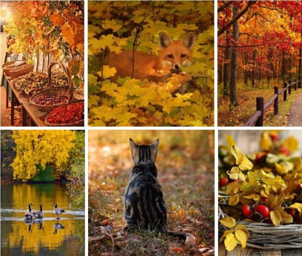 Осенние выходные