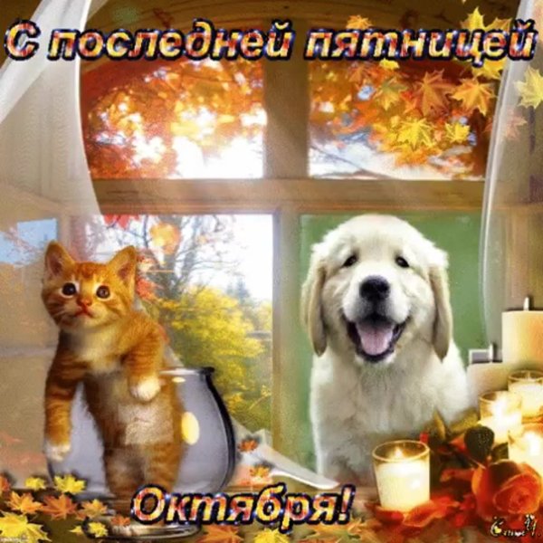 Открытки с осенней пятницей